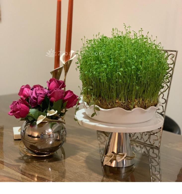 سبزه عید را خودتان سبز کنید !